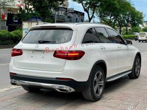 Xe Mercedes Benz GLC 200 2018