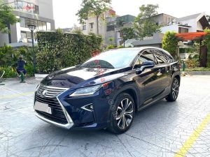 Xe Lexus RX 300 2018