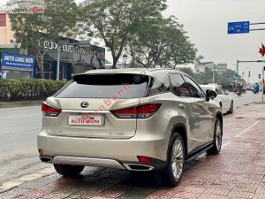 Xe Lexus RX 300 2021