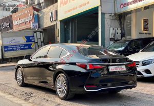 Xe Lexus ES 250 2020