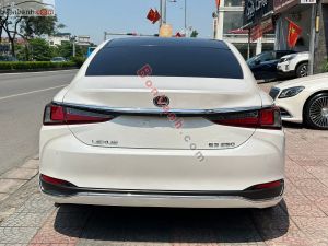 Xe Lexus ES 250 2022