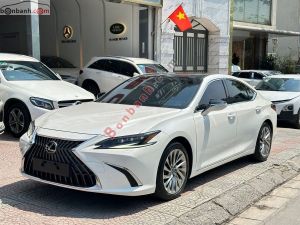 Xe Lexus ES 250 2022