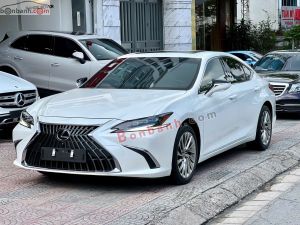 Xe Lexus ES 250 2022
