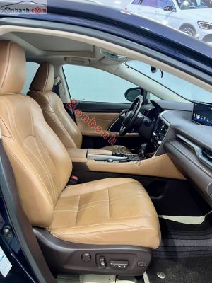 Xe Lexus RX 300 2018