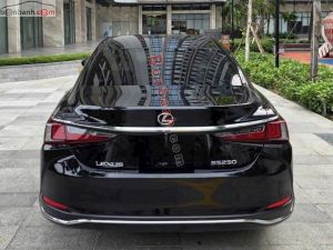Xe Lexus ES 250 2022