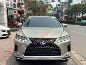 Xe Lexus RX 300 2021