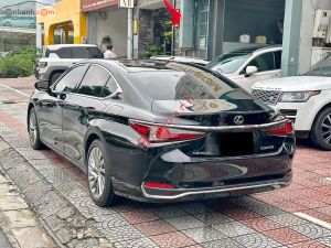 Xe Lexus ES 250 2022