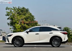 Xe Lexus RX 350 Luxury 2023